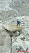 铜陵市矿山开采静态液压岩石分裂棒使用说明