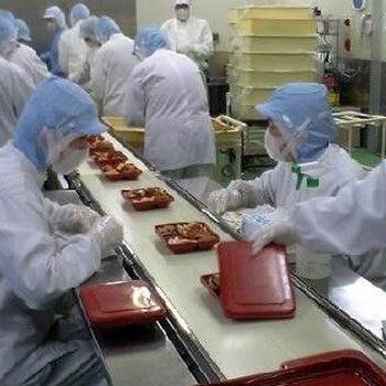 销售各类型PU食品输送带PU轻型食品传送带