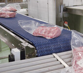 专业代理销售HABASIT哈伯斯特食品输送带，哈巴西肉食品加工输送带