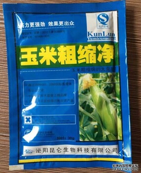 玉米粗缩病的防治措施