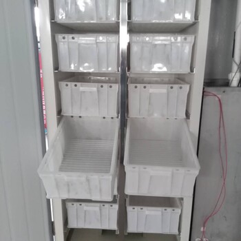 金盛达全自动豆芽机视频豆芽机设备豆芽机技术厂家