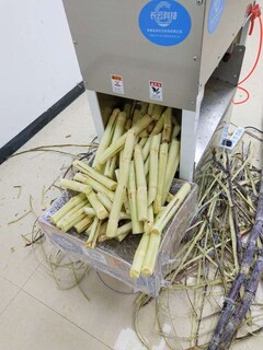 全自动甘蔗刮皮分段机图片6
