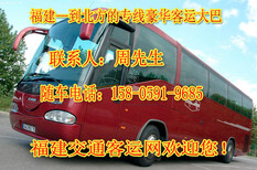 连江到林州大巴长途客车天天对发图片2