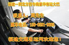 从晋江到周口直达卧铺大巴电话查询欢迎乘坐图片1