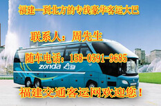 从晋江到周口直达卧铺大巴电话查询欢迎乘坐图片5