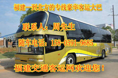 连江到林州大巴长途客车天天对发图片5