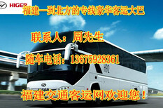 从惠安到武城的客车/驾驶员电话汽车资讯图片0