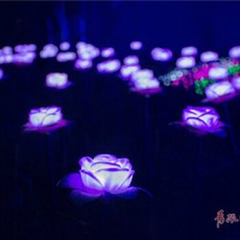 燈光節(jié)公司現場制作燈光節(jié)全國定制
