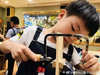 三分钟读懂司蒂姆“跨学科综合实践教育”每一课程的意义图片0