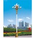 威海25米高杆灯价格，25米高杆灯厂家厂家专卖店