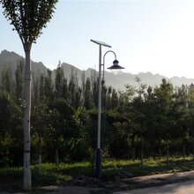 芦台镇庭院灯厂家价格图片