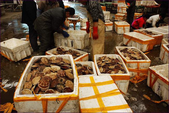 安庆太湖海鲜干货市场