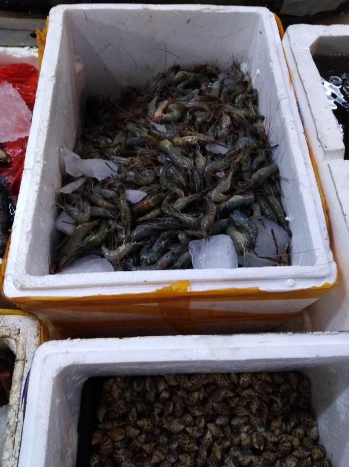 万州海鲜麻虾价格