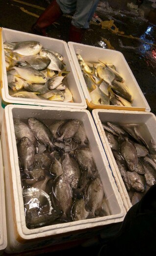 重庆海鲜班节对虾价格