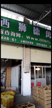 养殖）南昌西湖鹅苗+多少钱一只准价-鸡苗场欢迎您