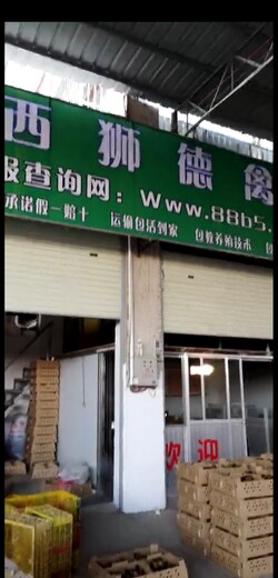 养殖）新鸡苗价-广东中山鹅苗+多少钱一只