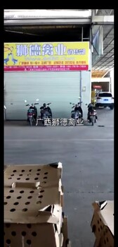 凉山雷波鹅苗市场在哪-今日817鸡苗价格报价