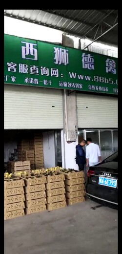 养殖）黔东南天柱鸭苗+3000只什么价格-草鸡苗供应商欢迎您