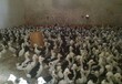 昆玉鸡雏孵化基地-曲靖市里有卖鸡苗