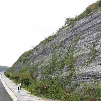 山坡護網_山坡掛網防護_主動防護網_兜山網