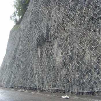 防崩塌山坡防護網(wǎng)-山坡主動防護網(wǎng)-山坡防護網(wǎng)廠家