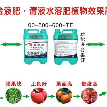 广西柑橘如何增产施肥高磷钾有机氟水溶肥种植大户直供