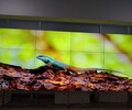艾丽视LG49寸3.5毫米拼缝高清液晶拼接屏监控拼接大屏幕