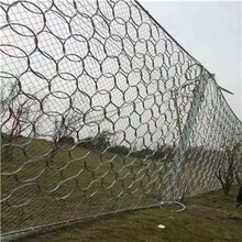 被动防护网