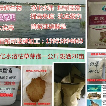 水產(chǎn)水溶性枯草芽孢桿菌