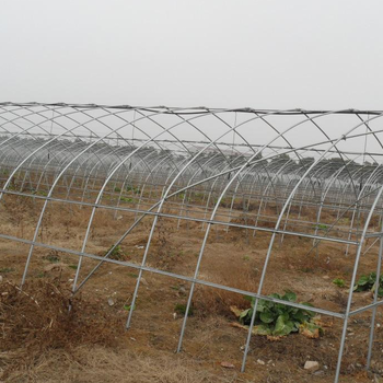 四川温室镀锌管大棚种植蔬菜大棚瓜果以及育苗大棚等等都有这很大的用处