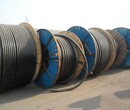 河东区新电缆回收河东区新电缆回收一米价格今天价格