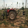 拖拉機帶植樹挖坑機，瑞雷地鉆機，挖洞機挖穴機廠家供應