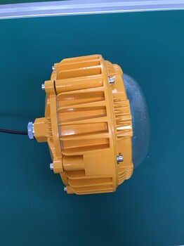 SZSW8156泛光灯，SZSW8156-220VLED灯100W