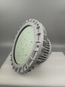 FGV1207-50W節(jié)能防爆燈免維護(hù)防爆彎燈
