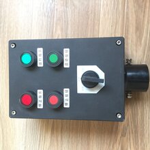 BDZ8030_BDZ8030防爆断路器_防爆防腐断路器图片