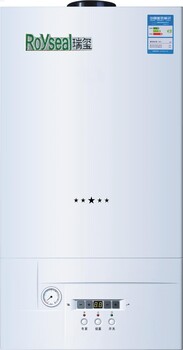 供應(yīng)德國(guó)瑞璽壁掛爐R70-20kw