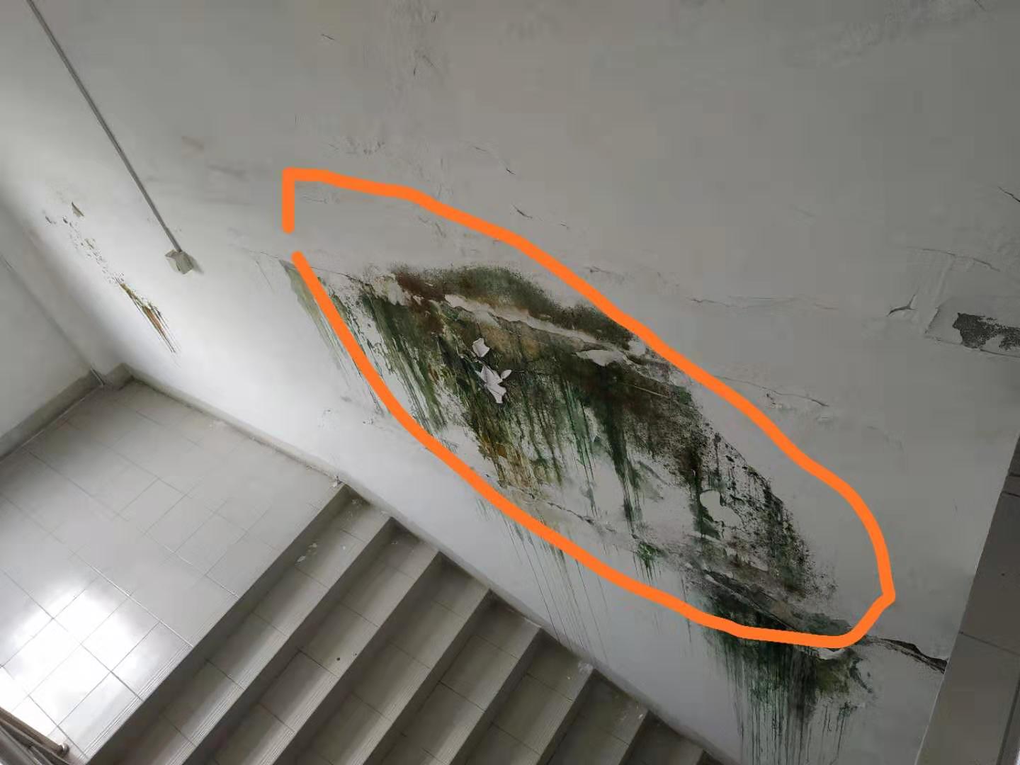 香洲区天面防水补漏|斗门白蕉补漏地下室漏水维修公司