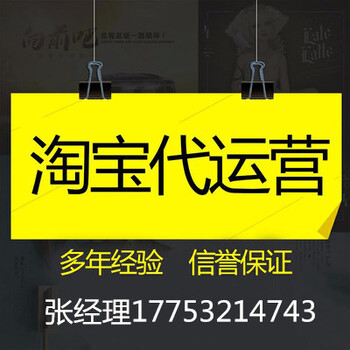 连云港网店装修，淘宝代运营，淘宝创业团队