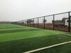 茂名学校篮球场护栏网小区围栏护栏网规格网球场护栏网
