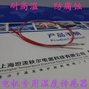 驅(qū)動(dòng)電機(jī)專用埋入式鉑熱電阻PT100溫度傳感器廠家