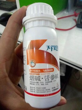 煙堿苦參堿防治白粉虱藥效果好