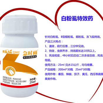 白粉虱藥白粉虱藥番茄、辣椒、茄子、黃瓜、西瓜
