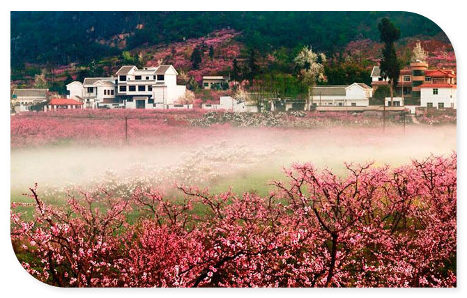 写田园生态旅游项目价值分析报告河口千寻有特