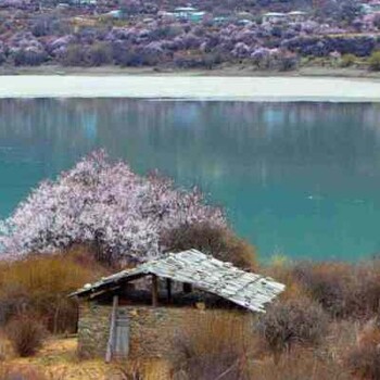 灵川县千寻企划做全产业链开发项目节能评估报告