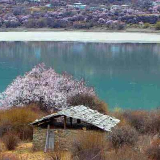 永登县千寻文案撰写交通建筑项目文案策划