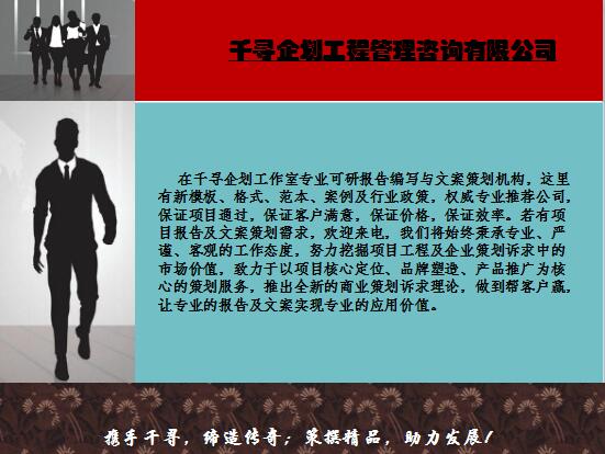 东丽项目实施方案东丽代做内容要点