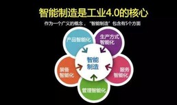 大田县区域申报项目规划文本范本展示图片5