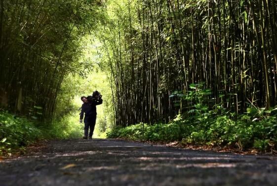 光泽县区域递交项目实施方案要求完善