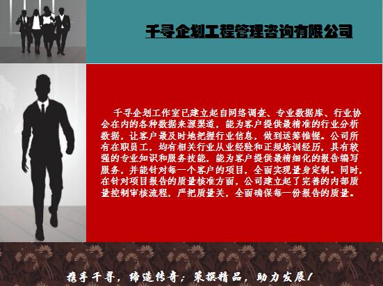 株洲项目价值分析报告怎么做才能满意