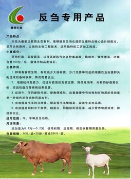 健芻寶